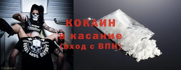 ПСИЛОЦИБИНОВЫЕ ГРИБЫ Горно-Алтайск