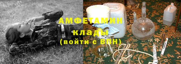 ПСИЛОЦИБИНОВЫЕ ГРИБЫ Горно-Алтайск