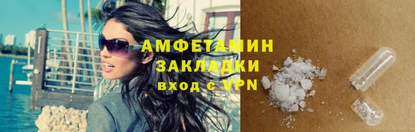 ПСИЛОЦИБИНОВЫЕ ГРИБЫ Горно-Алтайск