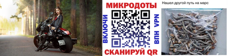 Галлюциногенные грибы Psilocybine cubensis  Купить закладки  Калтан 
